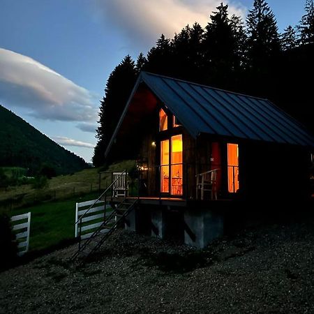 Villa Bramble Tiny House Zărneşti Esterno foto