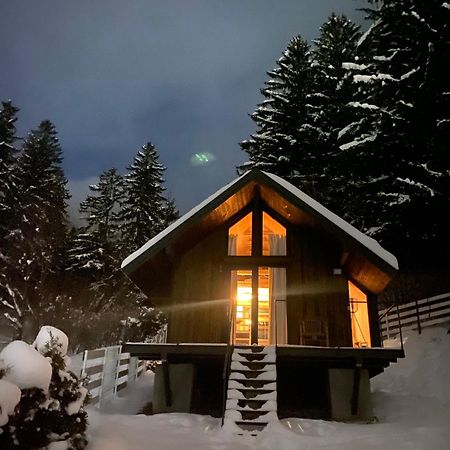 Villa Bramble Tiny House Zărneşti Esterno foto