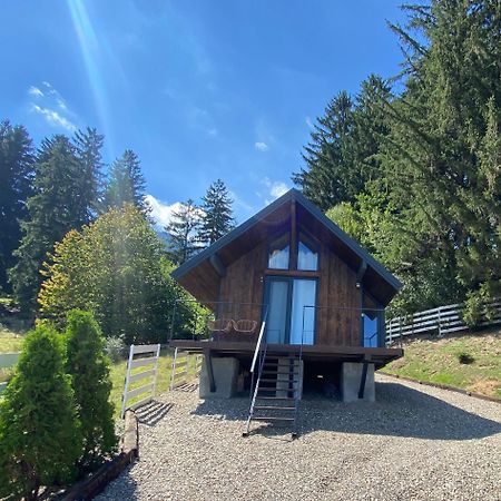 Villa Bramble Tiny House Zărneşti Esterno foto