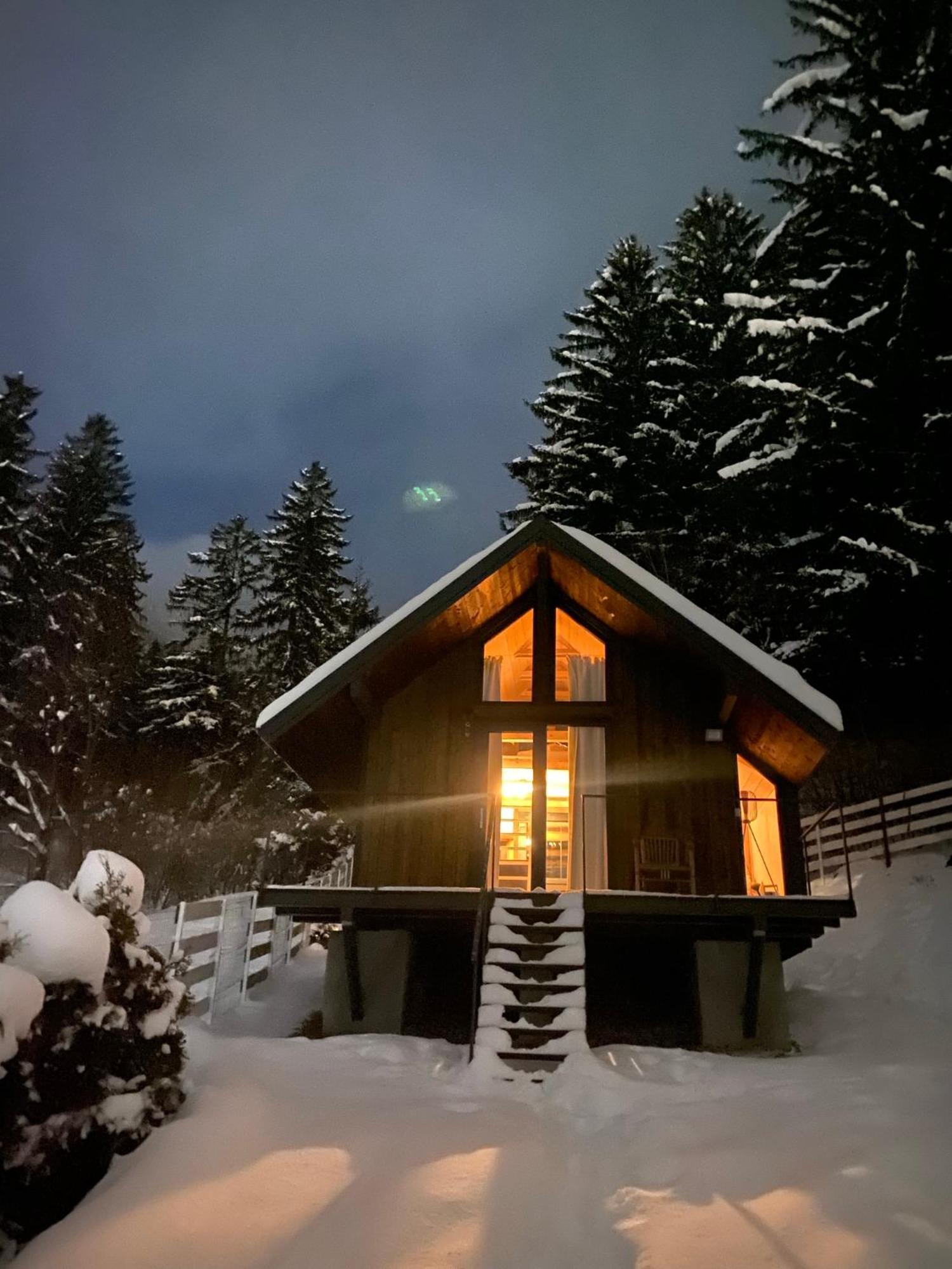 Villa Bramble Tiny House Zărneşti Esterno foto
