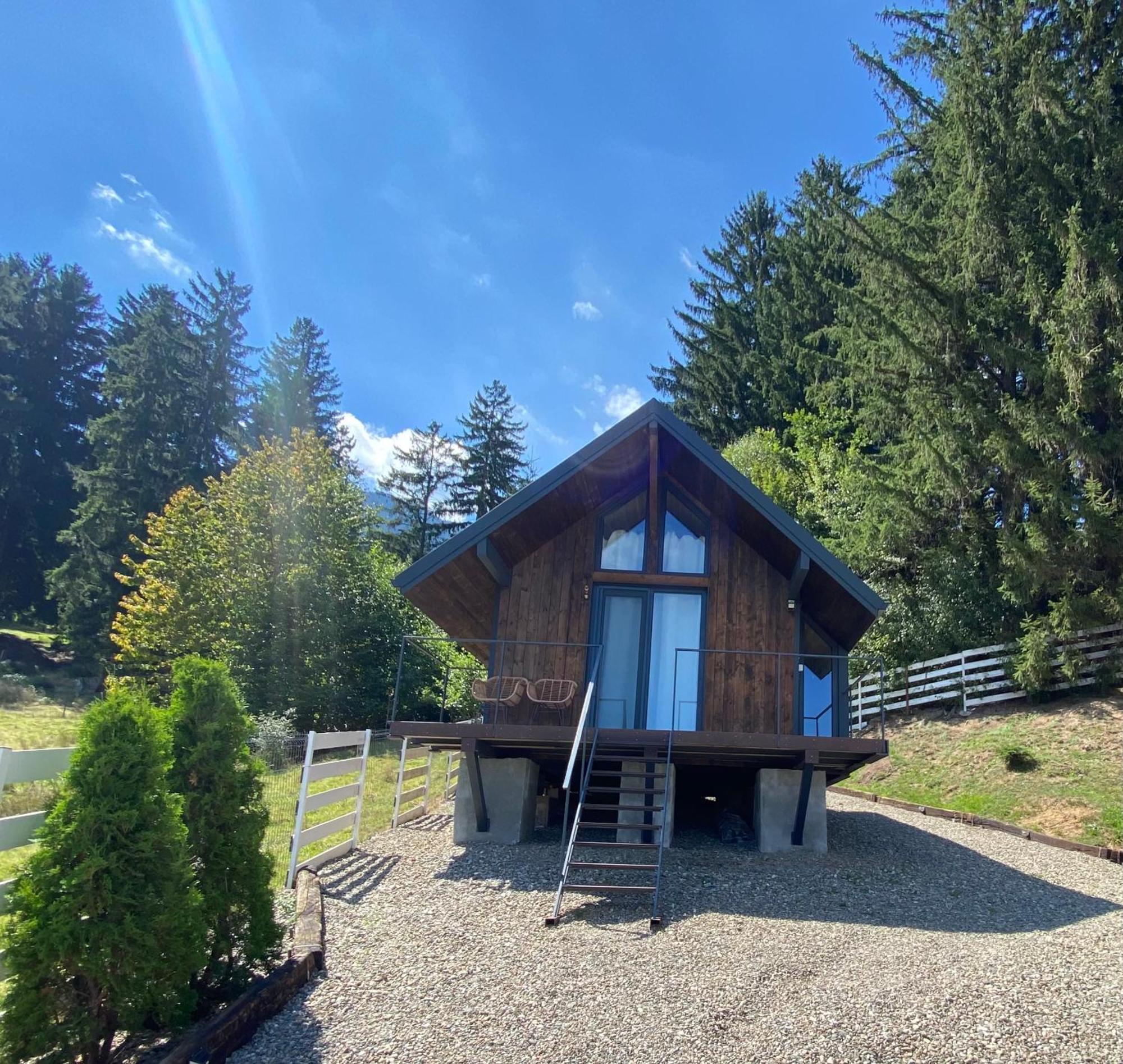 Villa Bramble Tiny House Zărneşti Esterno foto